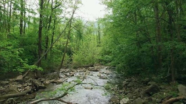 Потрясающие виды природы с высоты птичьего полета смотреть онлайн