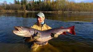 Ловля трофейного тайменя на реке Тугур, часть 3. Рыболовные путешествия команды SMITH Russia.