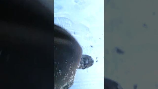 Придурки забайкальского края? смотреть онлайн