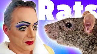 [RTP] OOPS, ALL RATS! (SUPERCUT)