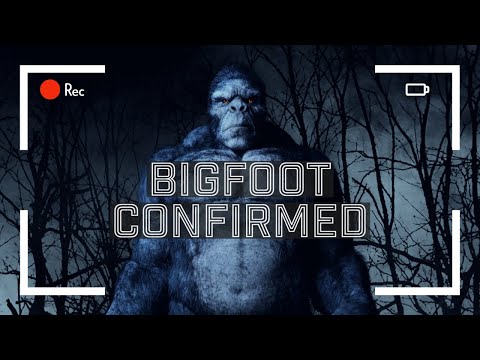 BIGFOOT WAS CAUGHT ON FILM - And They Still Don't Believe It смотреть онлайн