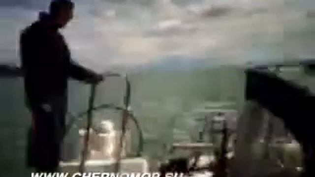 Парусный катамаран (sail Catamaran)