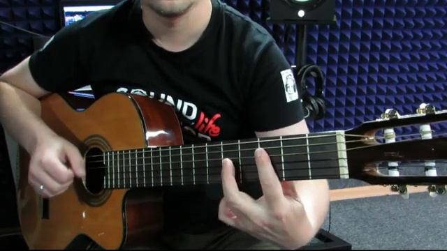 Морские приключения: волны, собирательство и открытия