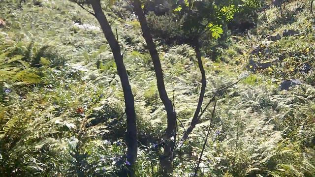 На ч.став 1 смотреть онлайн