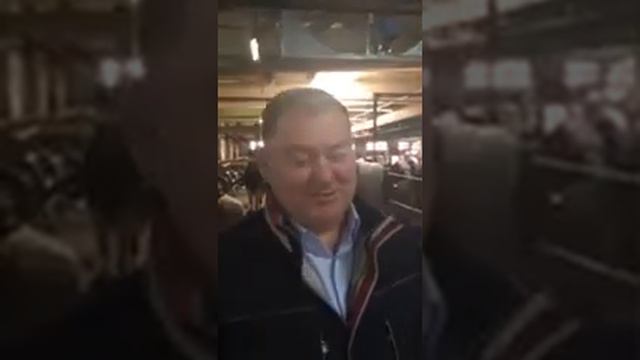 Щетка Толга реальные отзывы