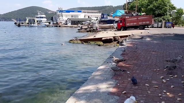 Burgazada Terastan Manzara, Burgazada Kıyısı смотреть онлайн