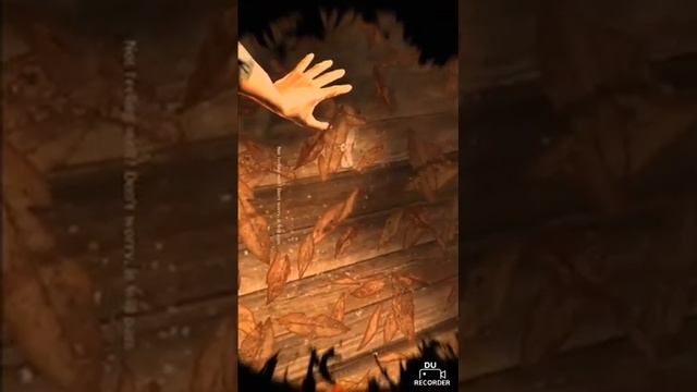 Leeco Le max 2 screen flickering in "Dark Meadow: the pact" game смотреть онлайн