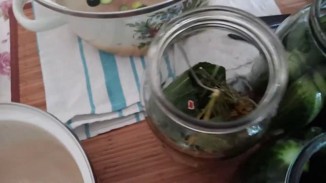 Квашеные огурцы на зиму смотреть онлайн