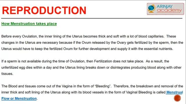 Zygote, Embroy, Foetus - Menstruation - Menarche And Menopause - Life Processes - Biology