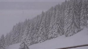 Георгий Свиридов "Зимняя дорога".