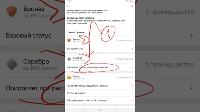 Что такое Бронза, Серебро, Золото и Платина в Яндекс.Про