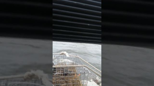 как лодка Крым скачет по волнам смотреть онлайн