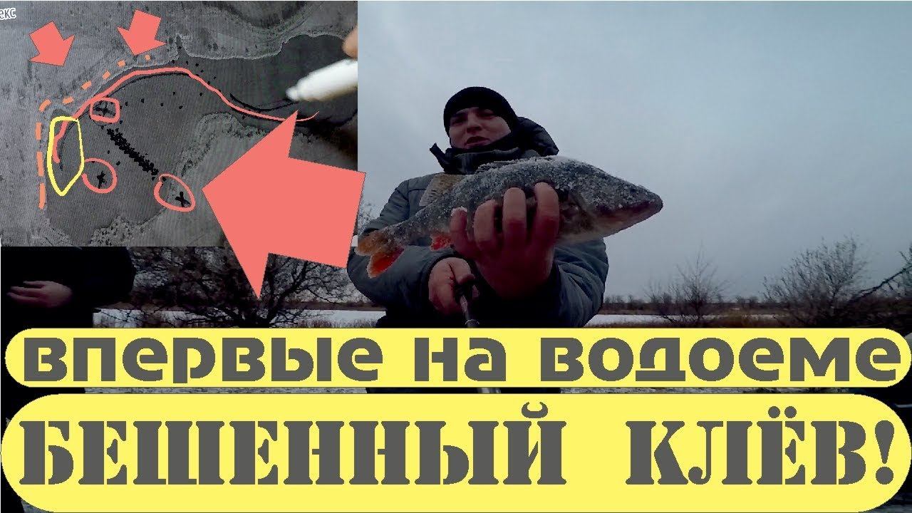 Как быстро найти рыбу эхолотом на озере ? Попали на Бешенный клёв сороги с практик 6м и 7 wi-fi смотреть онлайн