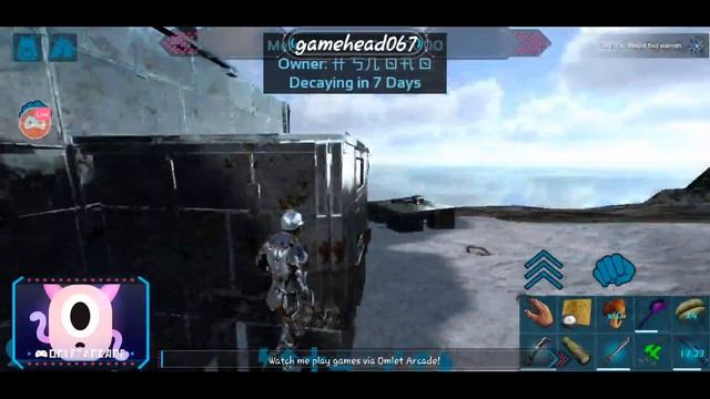 We Are Just Chilling Just Playing Games What Sup