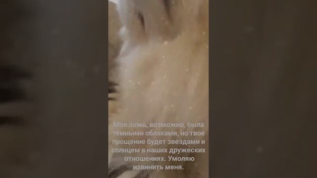 как извиниться перед другом!?! смотреть онлайн
