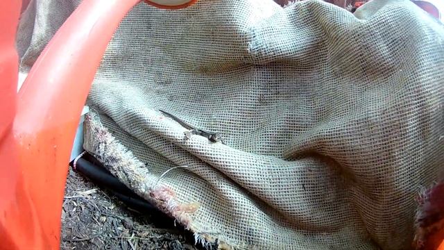 ВЫЖИВАЮ на даче 24 ЧАСА в одиночку смотреть онлайн