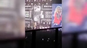 А может к черту любовь?