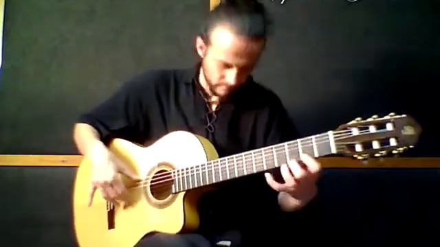 PRUDENCIO SAEZ 57 FISHMAN - Flamenco Gitarre