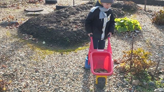 Уборка листьев 2021.mp4 смотреть онлайн