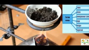 Состав почвы. Опыты в лаборатории. Природоведение 2-3 класс