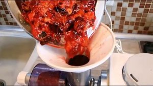 Мрия 2М кухонный комбайн видео.  Шнековая соковыжималка Мрия 2М  Соус ткемали