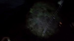 Рыбалка на сома в непогоду. Ловля сома на выползка и живца с берега