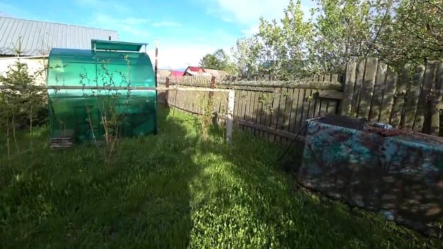 18 мая. Заглянула в щелку на соседний участок. Кошки ничего не едят.