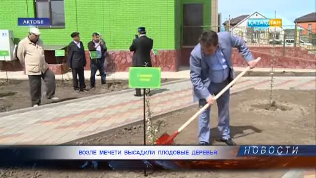 Актюбинцы продолжают активно озеленять город - "Казахстан-Актобе", 15 мая 2017 года смотреть онлайн