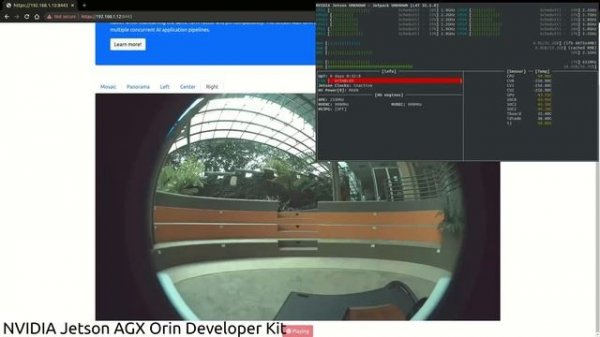 NVIDIA Jetson Orin Developer Kit Emulation Performance