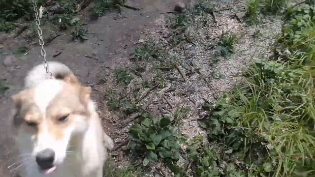 банька в тайге смотреть онлайн