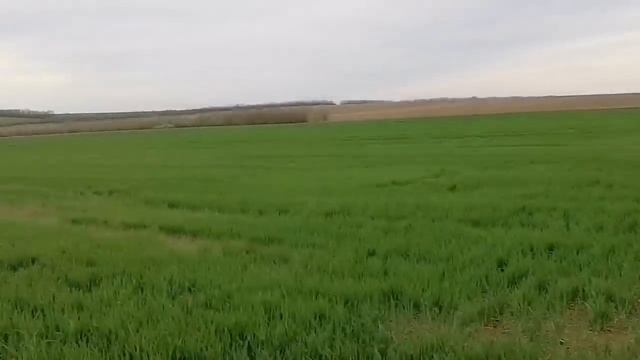 Брызгаем озимку. Тонем в солончиках. смотреть онлайн
