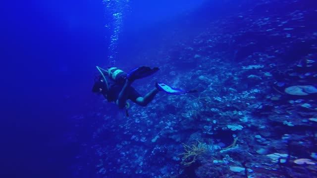 Куба дайвинг 2023