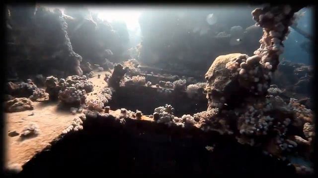 Red Sea Diving - Diving in Egypt - Diving in Red Sea смотреть онлайн