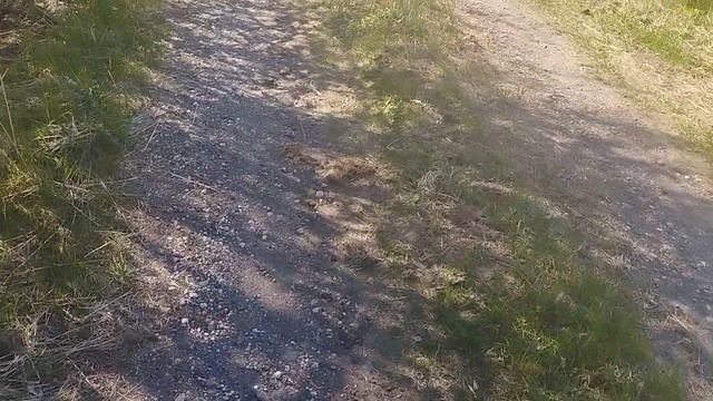 ЛЮБЯЩИЙ ИСТИНУ.предява етому каналу.автору