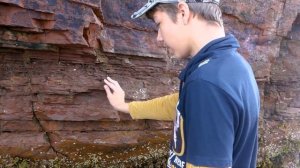 Терский Берег - Белое море Мурманская обл. История как мы искали аметисты на Кольском полуострове.