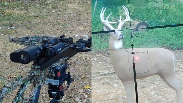 Excalibur Micro 340 shooting 3D Deer Target смотреть онлайн