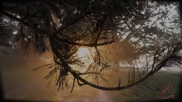 "Орлик" - авторская песня Андрея Стрелкова смотреть онлайн