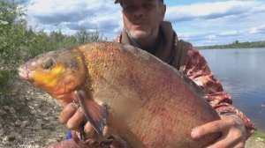 Когда ПЛОТВА больше БАТОНА или ТРОФЕЙНЫЙ ЛЕЩ на КУКУРУЗНОЕ САЛО! Рыбалка на Оке 2023!