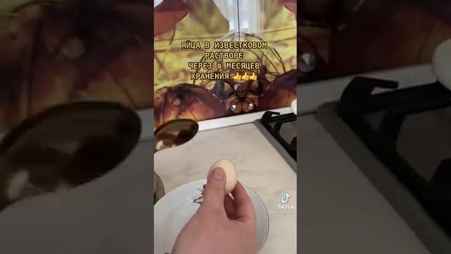 Яйца хранить месяцами(типа столетних). смотреть онлайн