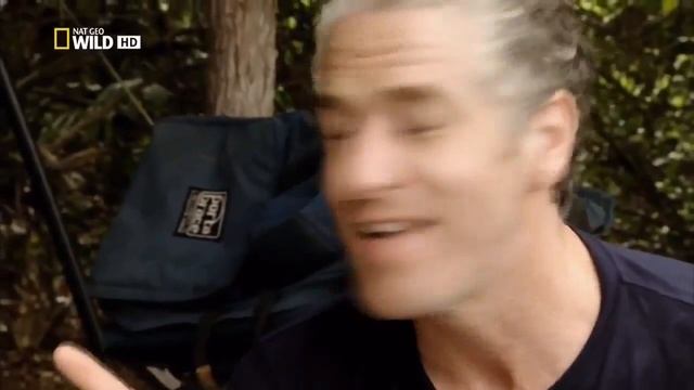 Животные мира Львы Танзании Шум тьмы Самые опасные Следы людоедов Жертвы львов Дурная слава смотреть онлайн