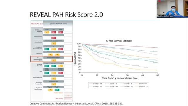 Optimizing Treatment Outcomes of Pulmonary Arterial Hypertension смотреть онлайн