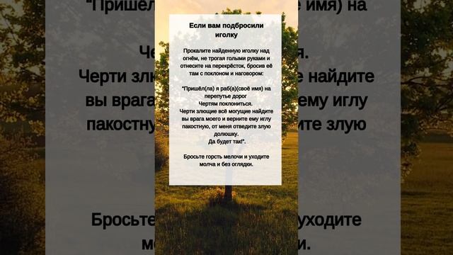 Что делать, если Вам ПОДБРОСИЛИ ИГОЛКУ смотреть онлайн