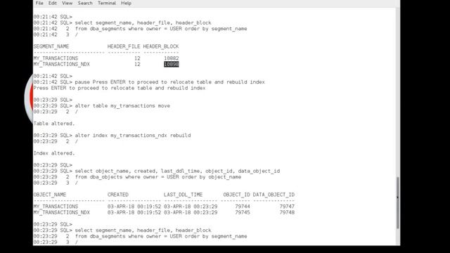 Data Object ID and Last DDL Time смотреть онлайн