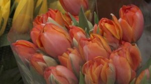 Милые женщины! С наступающим 8 Марта!