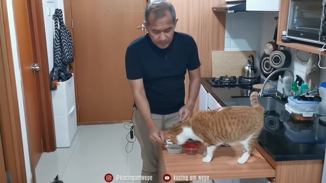 Merawat Kucing Diare смотреть онлайн