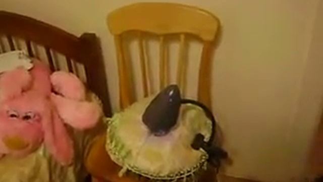 Аквариум-ночник из лампочки.