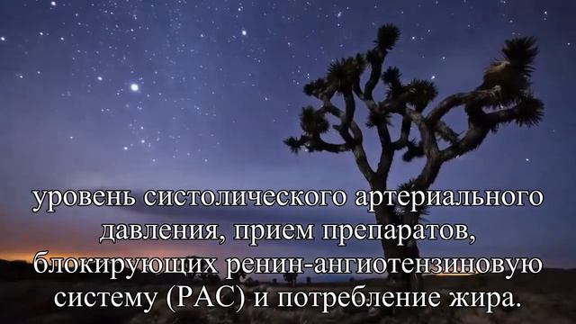 Рацион с высоким содержанием белка может навредить даже здоровым почкам — Статья смотреть онлайн