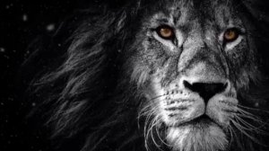 Очень красивый нашид!!!