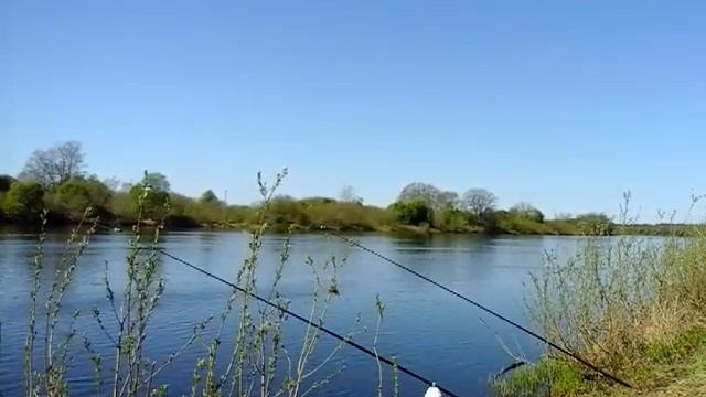 Рыбалка на реке Луга , рядом с Кингисеппом смотреть онлайн