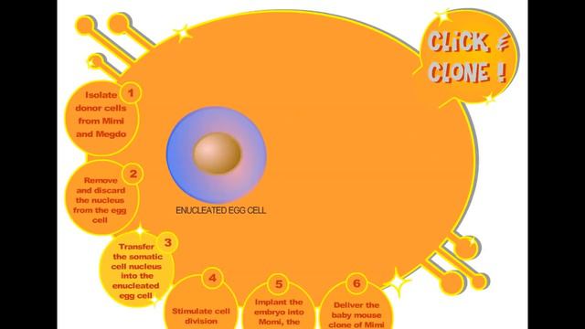 cloning mouse смотреть онлайн